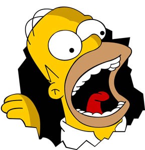 homer zere.jpg