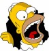 homer zere.jpg